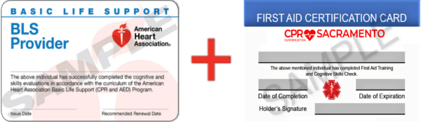 CPR + First Aid Card