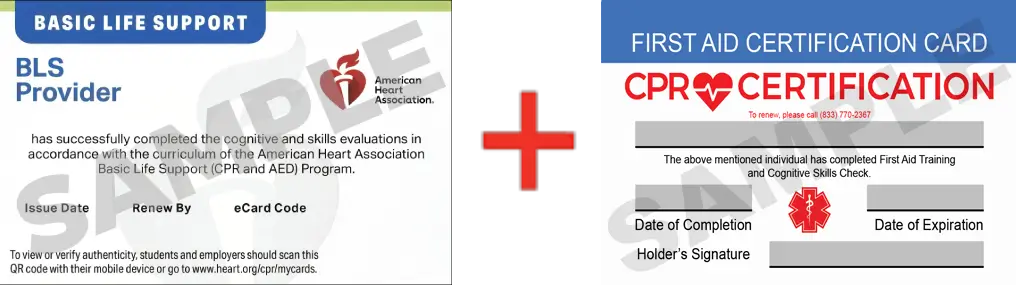 Sample American Heart Association AHA BLS CPR Card Certification and First Aid Certification Card from CPR Certification Sacramento